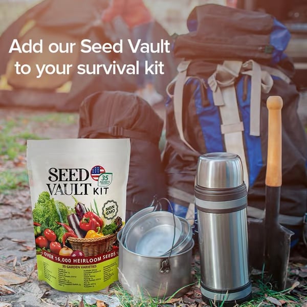 Vegetable Seed Vault Kit | 35 Variety Pack